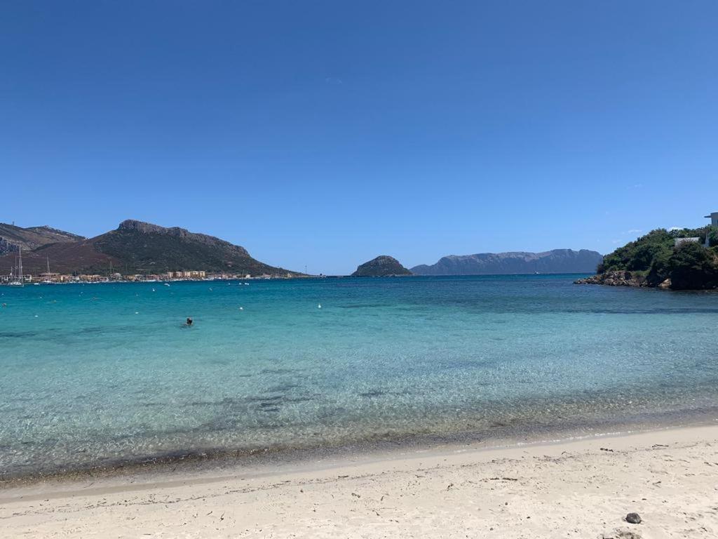 Appartamenti Le Primule Golfo Aranci Extérieur photo